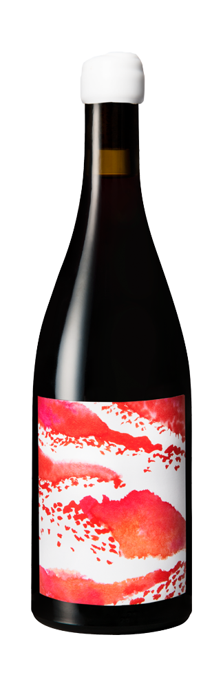 VIN DE FRANCE Vitae MMXVIII (BIO) - Bout 75cl 12.5%